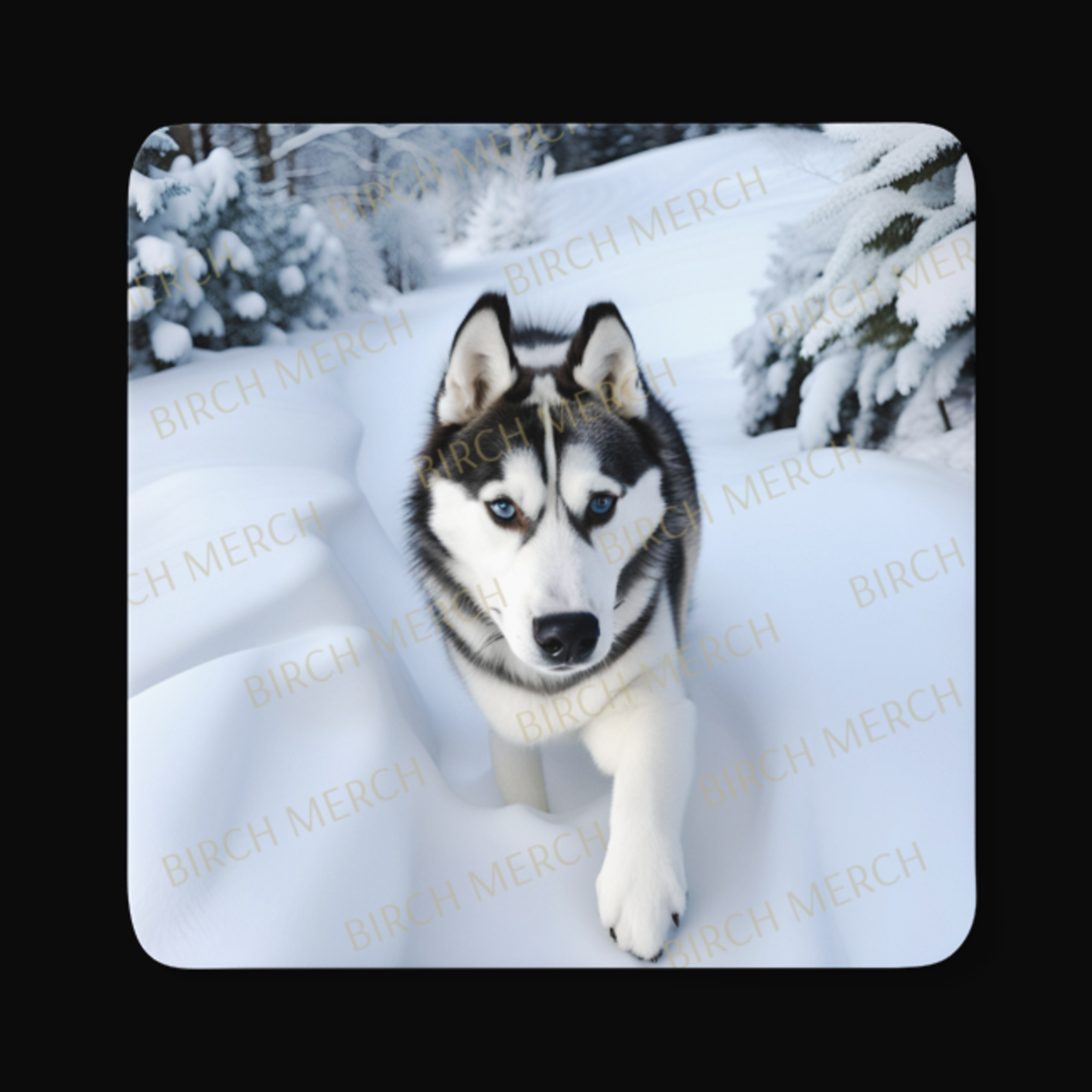 Husky Square Coaster 9cm x 9cm Design 4