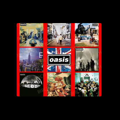 Oasis Album 20oz (590ml) Stainless Steel Straight Skinny Tumbler